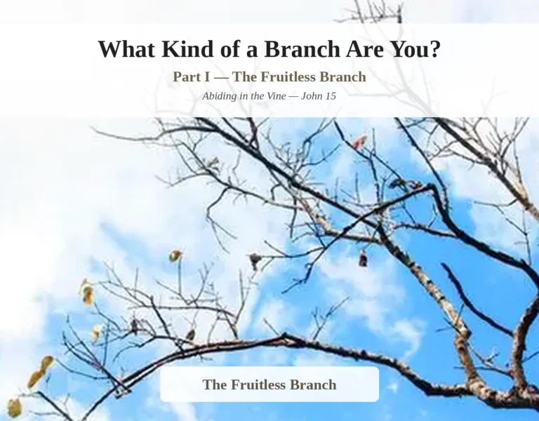 What Kind of Branch Are You? [Part I]